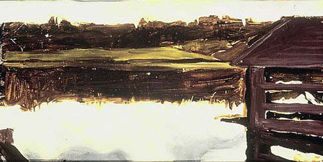 Landscape of Taiga
